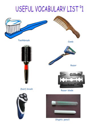 Toothbrush
Comb
(hair) brush
Razor
Razor blade
Styptic pencil
 