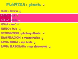 Vocabulary living creature