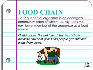 –  a sequence of organisms in an ecological community each of which (usually) uses the next lower member of the sequence as a food source  FOOD CHAIN Plants are at the bottom of the  food chain  because cows eat grass and people get milk and meat from cows. .  