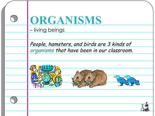 –  living beings  ORGANISMS People, hamsters, and birds are 3 kinds of  organisms  that have been in our classroom.  