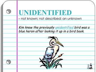 –  not known; not described; an unknown  UNIDENTIFIED Kim knew the previously  unidentified  bird was a blue heron after looking it up in a bird book.  