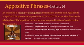 Appositive Phrases-Letter: N
An appositive is a noun or noun phrase that renames another noun right beside
it. ApPOSITIVE phrases are so you can be 100% POSITIVE about what the writer is
talking about. The appositive can be a short or long combination of words. Look at
these examples: The insect, a cockroach, is crawling across the kitchen table.
The insect, a large cockroach, is crawling across the kitchen table.
The insect, a large cockroach with hairy legs, is crawling across the kitchen
table.
The insect, a large, hairy-legged cockroach that has spied my bowl of
oatmeal, is crawling across the kitchen table.
 