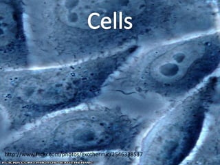 http://www.flickr.com/photos/exothermic/2546338537
 