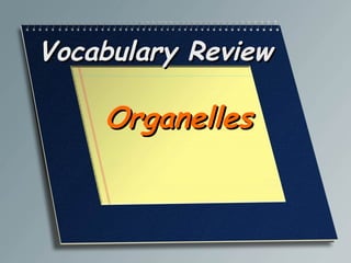 Vocabulary Review

    Organelles
 