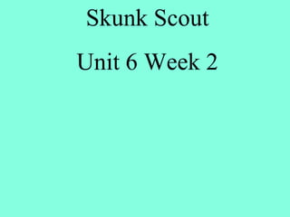 Skunk Scout Unit 6 Week 2 