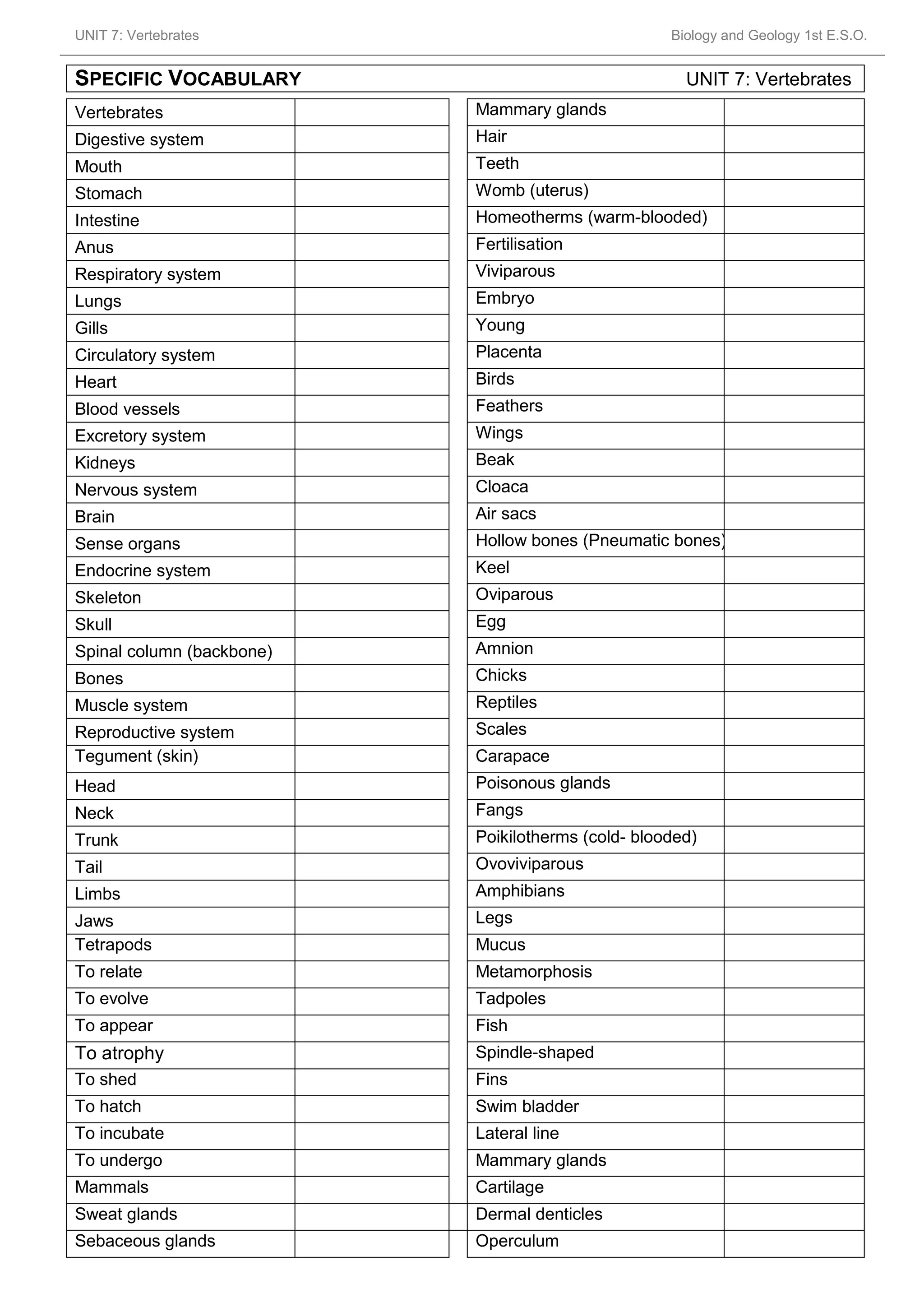 Vocabulary ud 7 vertebrates | PDF