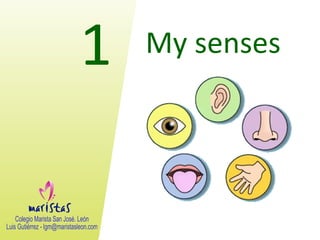 1 My senses
 