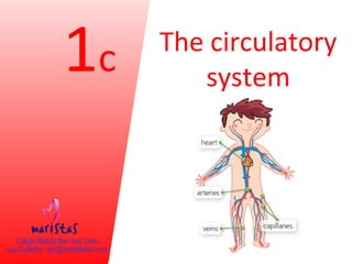 1c The circulatory 
system 
 