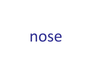 nose
 