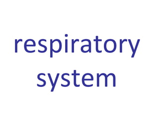 respiratory
system
 