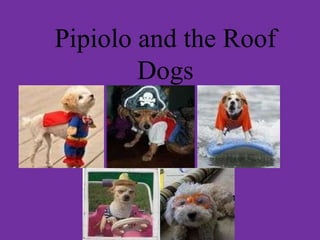 Pipiolo and the Roof Dogs 