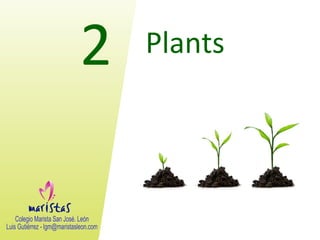 2

Plants

 