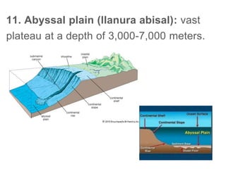 11. Abyssal plain (llanura abisal): vast
plateau at a depth of 3,000-7,000 meters.
 