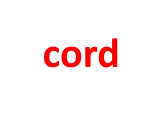 cord 
 