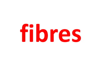 fibres 
 