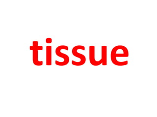 tissue 
 