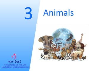 3

Animals

 