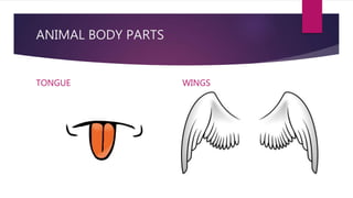 ANIMAL BODY PARTS
TONGUE WINGS
 