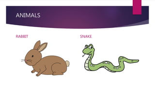 ANIMALS
RABBIT SNAKE
 
