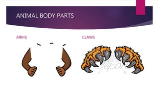 ANIMAL BODY PARTS
ARMS CLAWS
 