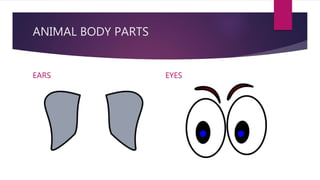 ANIMAL BODY PARTS
EARS EYES
 