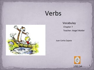 Verbs USB Cali Juan Carlos Zapata Vocabulay Chapter 7 Teacher: Angel Watler 