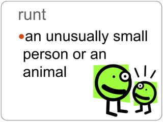 runt
an unusually small
person or an
animal
 