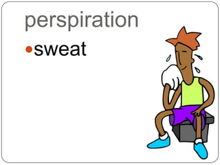perspiration
sweat
 