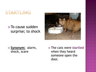 startlingThe cats were startled when they heard someone open the door.To cause sudden surprise; to shockSynonym:alarm, shock, scare