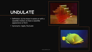Undulating Example Vocabulary Workshop Level G Unit 2 | PPTX