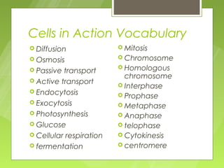 Cells in Action Vocabulary
 Diffusion               Mitosis

 Osmosis                 Chromosome

 Passive                 Homologous
          transport
                           chromosome
 Active transport
                          Interphase
 Endocytosis
                          Prophase
 Exocytosis              Metaphase
 Photosynthesis          Anaphase
 Glucose                 telophase
 Cellular respiration    Cytokinesis
 fermentation            centromere
 