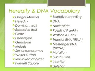 Heredity & DNA Vocabulary
  Gregor  Mendel         Selective   breeding
  Heredity               DNA
  Dominant trait         Nucleotide
  Recessive trait        Rosalind  Franklin
  Gene                   Watson & Crick
  Phenotype
                          Transfer RNA (tRNA)
  Genotype
                          Messenger RNA
  Meiosis
                           (mRNA)
  Sex chromosomes
                          Mutation
  Walter Sutton
                          Substitution
  Sex-linked disorder
                          Insertion
  Punnett Square
                          deletion
 
