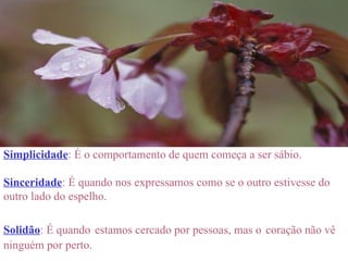 Simplicidade : É o comportamento de quem começa a ser sábio. Sinceridade : É quando nos expressamos como se o outro estivesse do outro lado do espelho. Solidão : É quando   estamos cercado por pessoas, mas o   coração não vê ninguém por perto. 