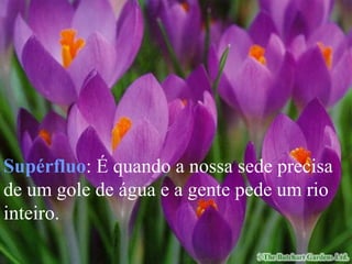 Supérfluo : É quando a nossa sede precisa de um gole de água e a gente pede um rio inteiro. 