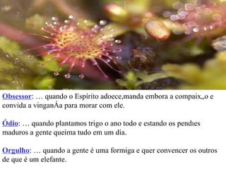 Obsessor : É quando o Espírito adoece,manda embora a compaixão e convida a vingança para morar com ele. Ódio : É quando plantamos trigo o ano todo e estando os pendões maduros a gente queima tudo em um dia. Orgulho : É quando a gente é uma formiga e quer convencer os outros de que é um elefante. 