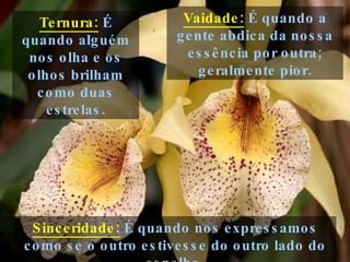 Ternura:  É quando alguém nos olha e os olhos brilham como duas estrelas. Sinceridade:  É quando nos expressamos como se o outro estivesse do outro lado do espelho. Vaidade:  É quando a gente abdica da nossa essência por outra; geralmente pior. 