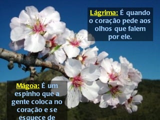 Lágrima: É quando
                  o coração pede aos
                    olhos que falem
                        por ele.




 Mágoa: É um
 es pinho que a
gente coloca no
  coração e s e
 