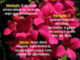 Maldade: É quando
arrancamos as as as do
 anjo que deveríamos
                              Perfume: É
         s er.
                            quando mes mo
                               de olhos
                           fechados a gente
                           reconhece quem
                             nos faz feliz.

          Morte: Quer dizer
        viagem, trans ferência
       ou qualquer cois a com
        cheiro de eternidade.
 