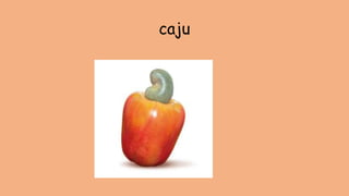caju
 