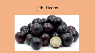 jabuticaba
 