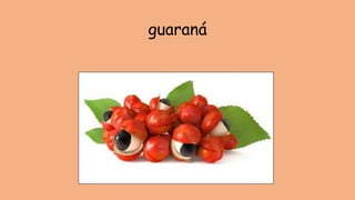 guaraná
 