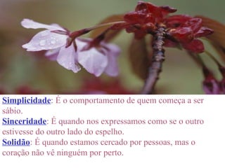 Simplicidade : É o comportamento de quem começa a ser sábio. Sinceridade : É quando nos expressamos como se o outro estivesse do outro lado do espelho. Solidão : É quando estamos cercado por pessoas, mas o coração não vê ninguém por perto. 