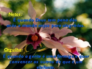 Netos :
    É quando Deus tem pena dos
 avós e manda anjos para aleg rá-los .




Org ulho:
É quando a g ente é uma formig a e quer
   convencer os outros de que é um
               elefante.
 