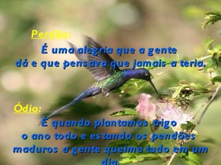 Perdão:
     É uma aleg ria que a g ente
dá e que pens av a que jamais a teria.



Ódio:
     É quando plantamos trig o
 o ano todo e es tando os pendões
maduros a g ente queima tudo em um
 
