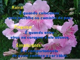 Raiva:
     É quando colocamos
uma muralha no caminho da paz.

  Preg uiça:
        É quando entra
vírus na corag em e ela adoece.
   S implicidade:
      É o comportamento
 de quem começa a s er s ábio.
 