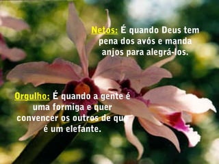 Netos: É quando Deus tem
pena dos avós e manda
anjos para alegrá-los.
Orgulho: É quando a gente é
uma formiga e quer
convencer os outros de que
é um elefante.
 