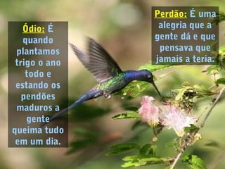 Ódio: É
quando
plantamos
trigo o ano
todo e
estando os
pendões
maduros a
gente
queima tudo
em um dia.
Perdão: É uma
alegria que a
gente dá e que
pensava que
jamais a teria.
 