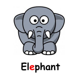 Elephant
 