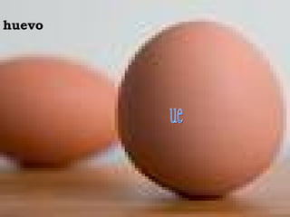 huevo
 