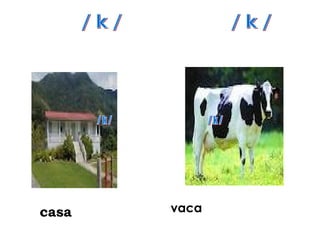 casa   vaca
 